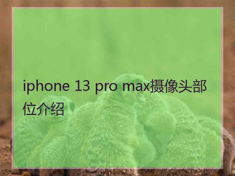 iphone 13 pro max摄像头部位介绍