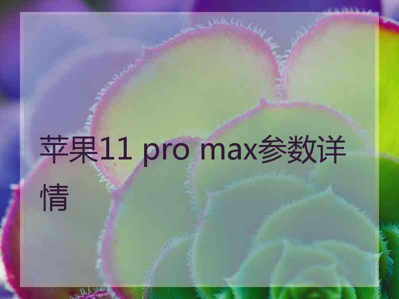 苹果11 pro max参数详情