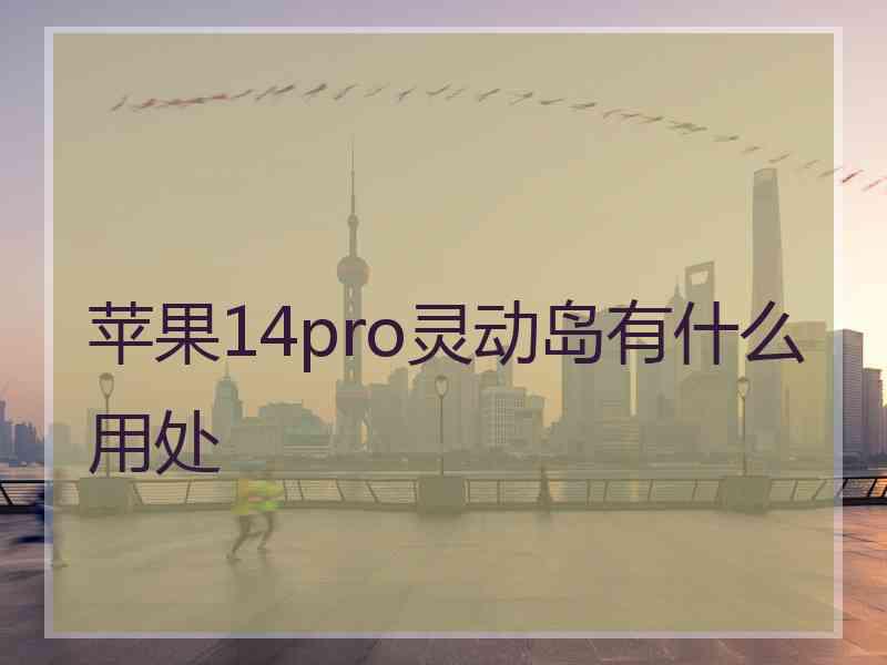 苹果14pro灵动岛有什么用处