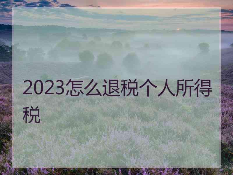 2023怎么退税个人所得税