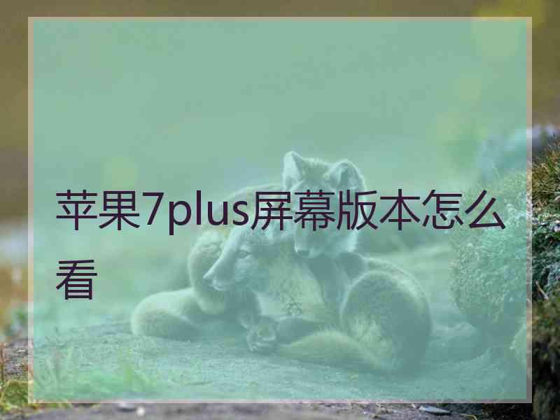 苹果7plus屏幕版本怎么看