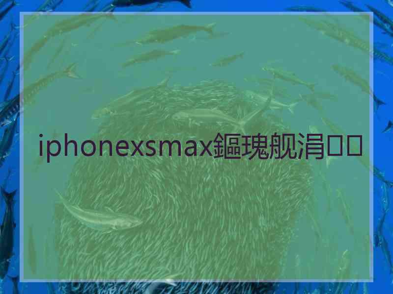 iphonexsmax鏂瑰舰涓