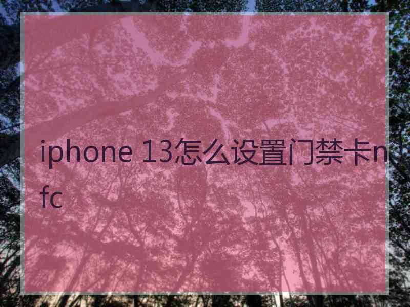 iphone 13怎么设置门禁卡nfc