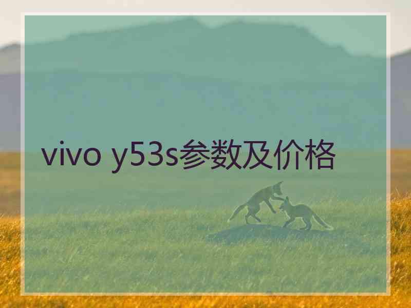 vivo y53s参数及价格