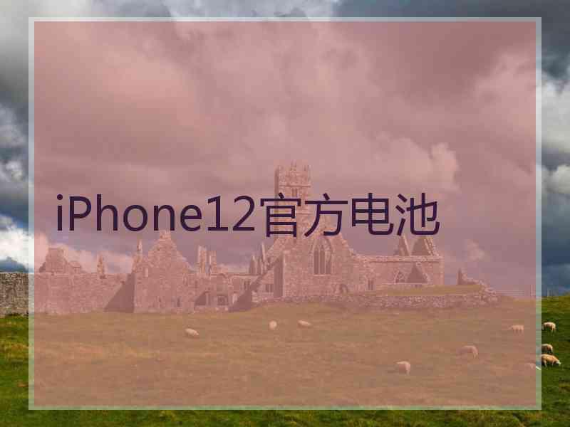 iPhone12官方电池