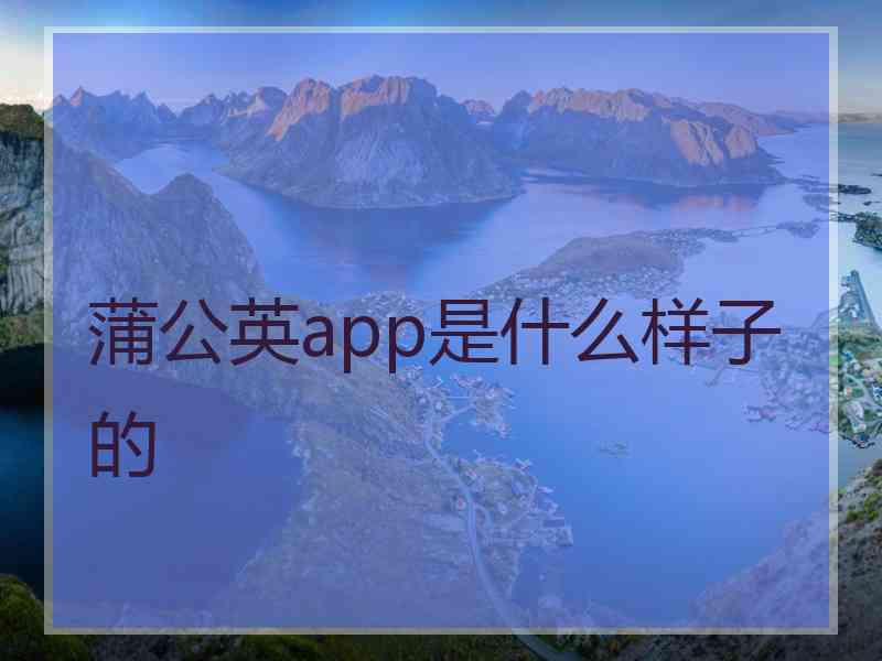 蒲公英app是什么样子的