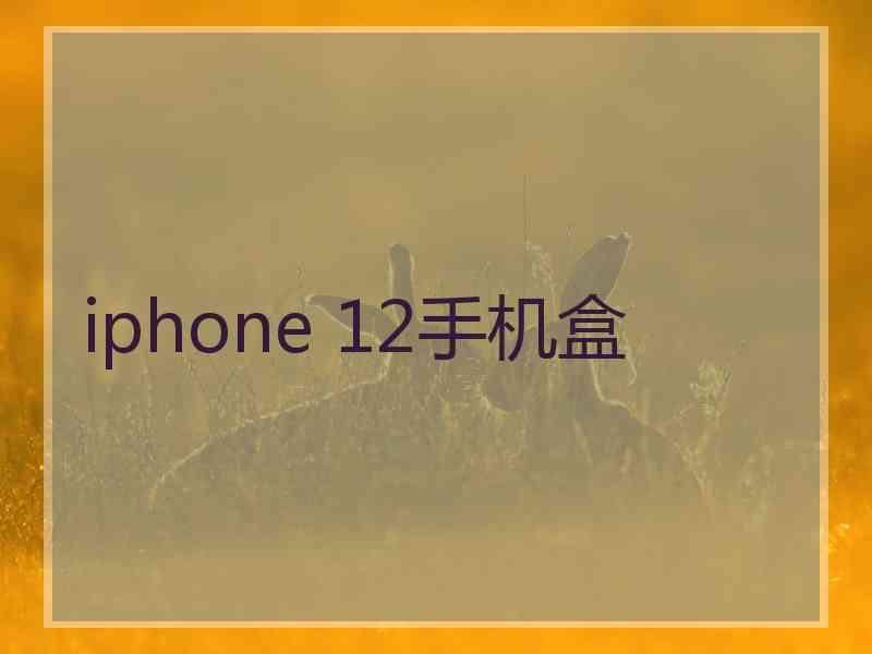 iphone 12手机盒