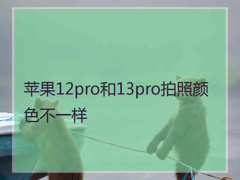 苹果12pro和13pro拍照颜色不一样