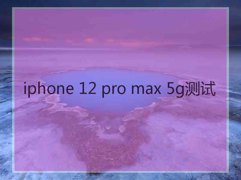 iphone 12 pro max 5g测试