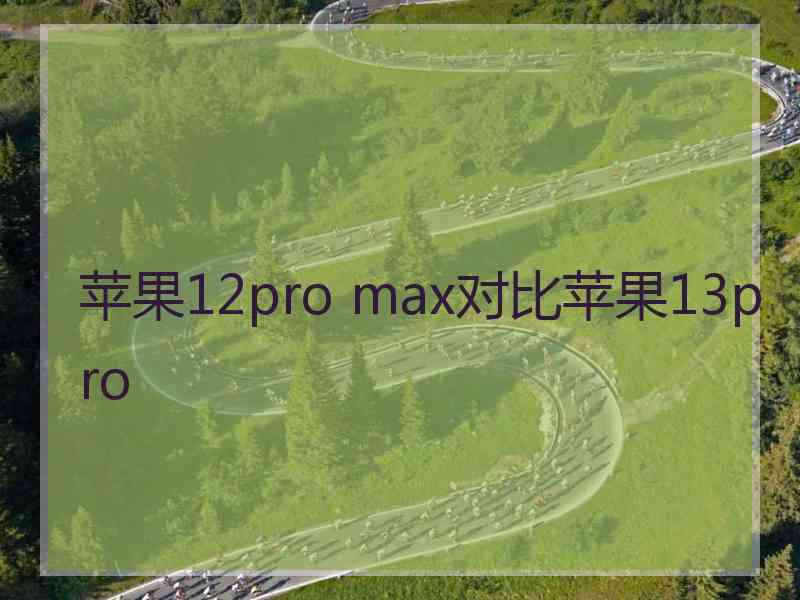 苹果12pro max对比苹果13pro