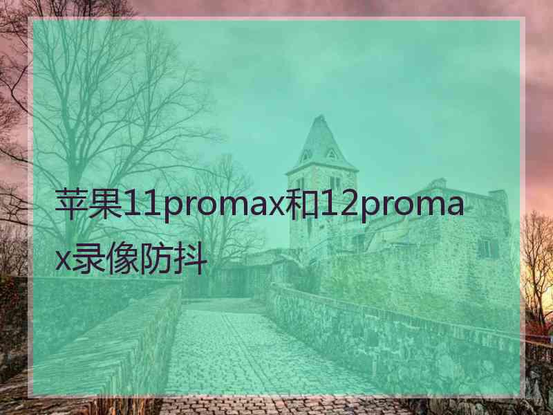 苹果11promax和12promax录像防抖