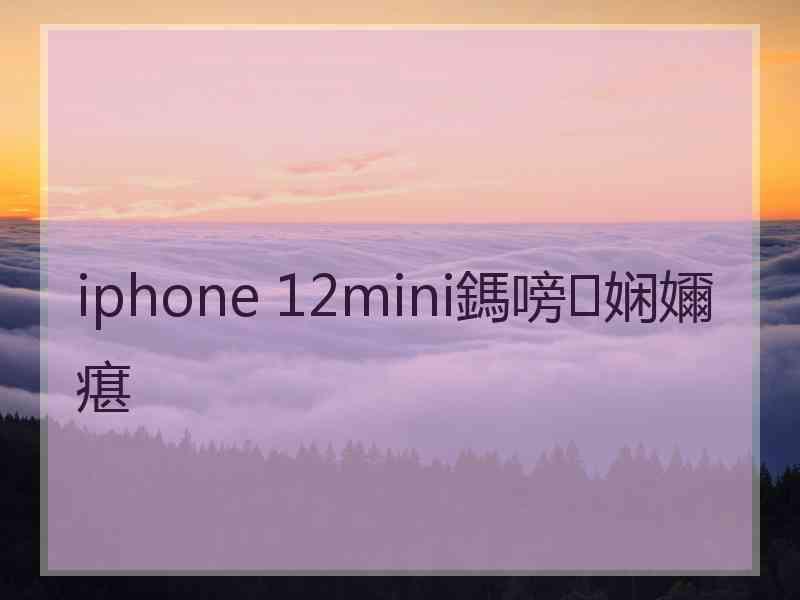 iphone 12mini鎷嗙娴嬭瘎