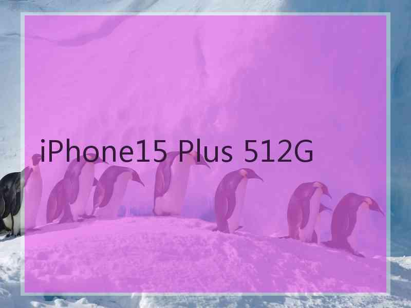 iPhone15 Plus 512G