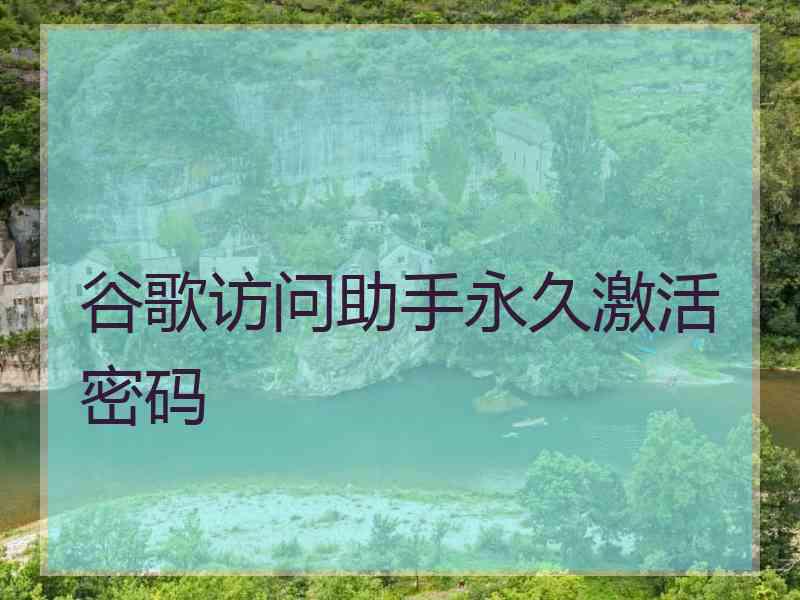 谷歌访问助手永久激活密码