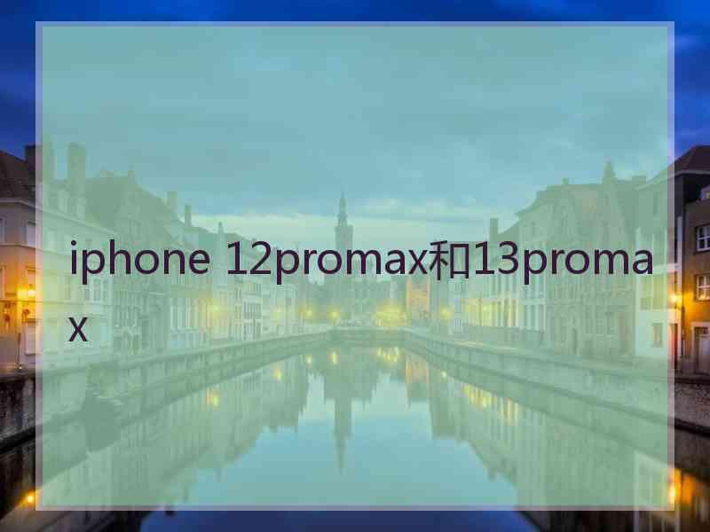 iphone 12promax和13promax