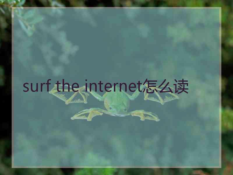 surf the internet怎么读