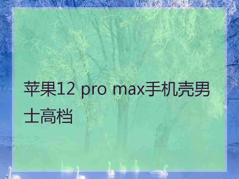 苹果12 pro max手机壳男士高档