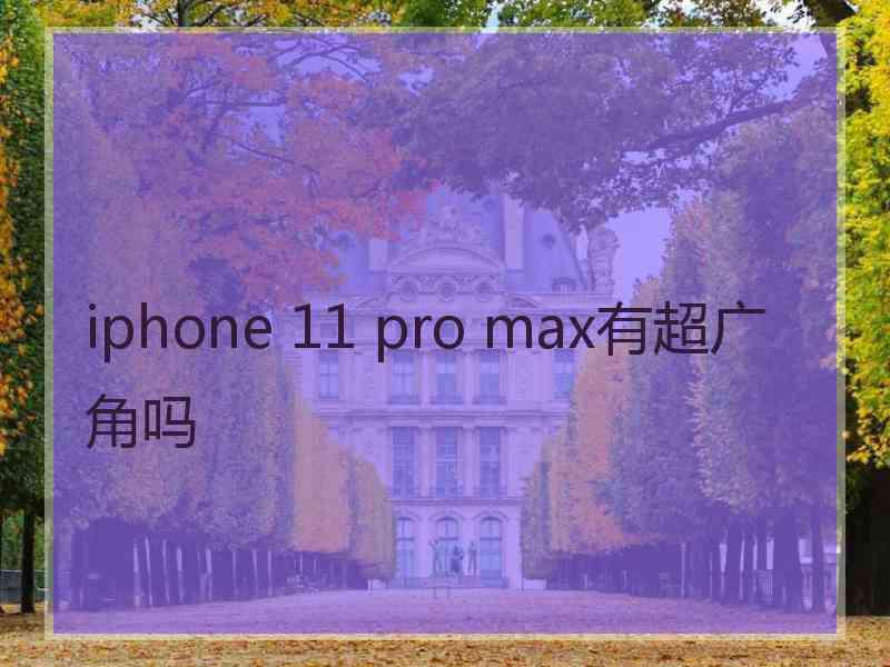 iphone 11 pro max有超广角吗