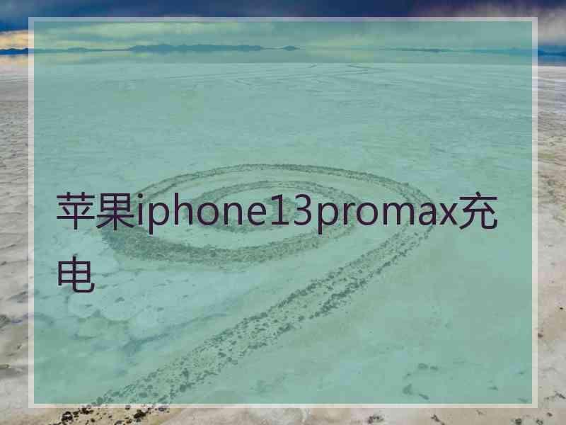 苹果iphone13promax充电