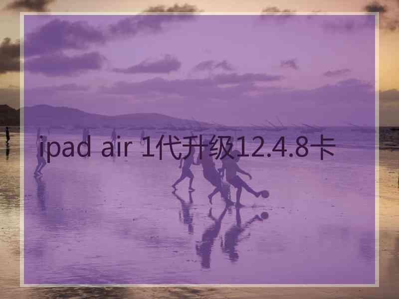 ipad air 1代升级12.4.8卡