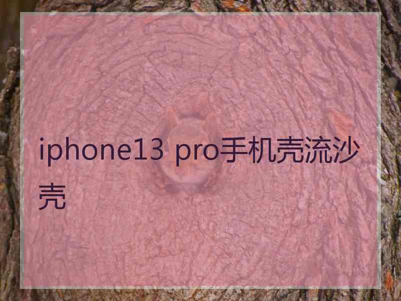 iphone13 pro手机壳流沙壳