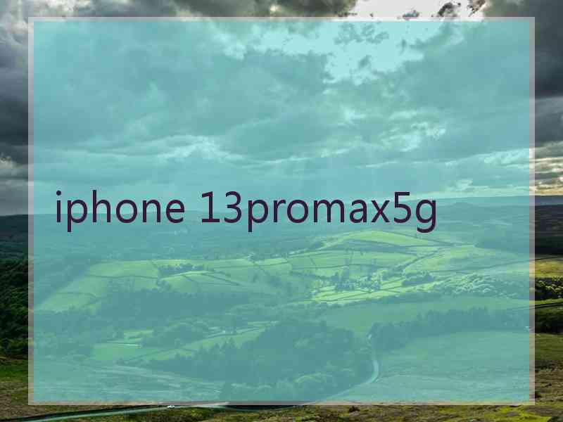 iphone 13promax5g