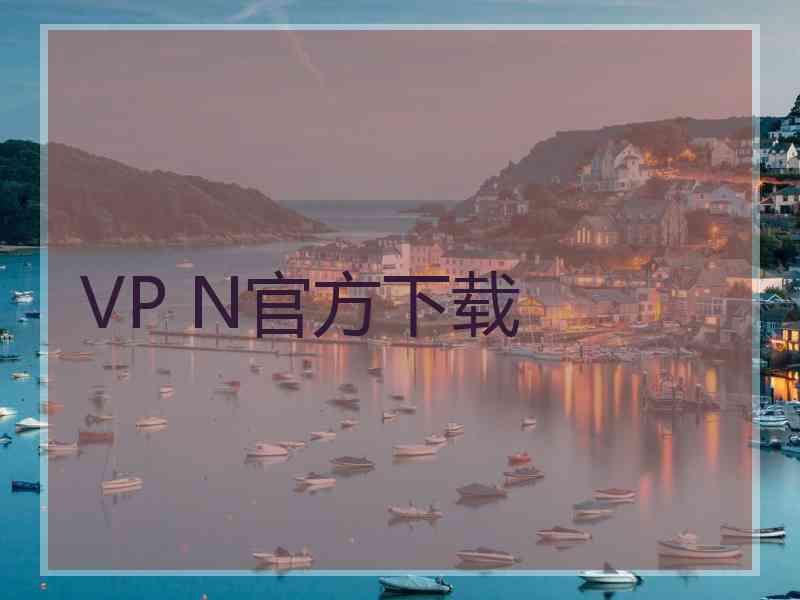 VP N官方下载