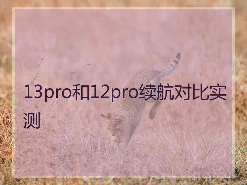 13pro和12pro续航对比实测