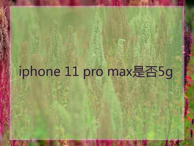 iphone 11 pro max是否5g