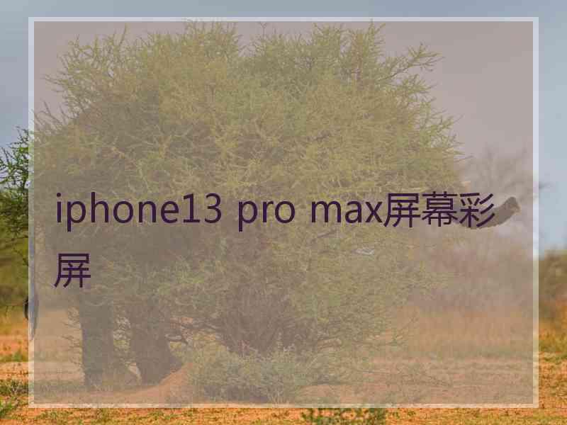 iphone13 pro max屏幕彩屏