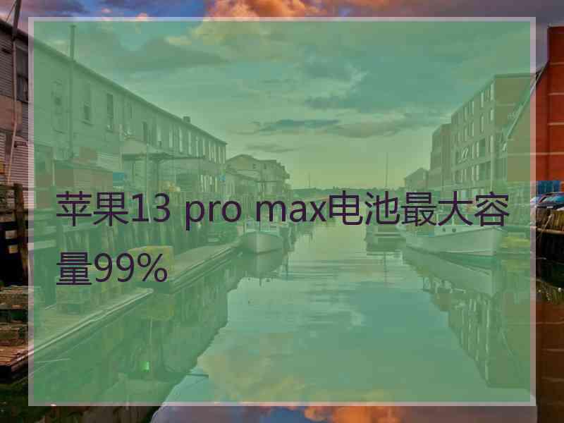 苹果13 pro max电池最大容量99%