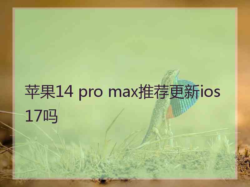 苹果14 pro max推荐更新ios 17吗