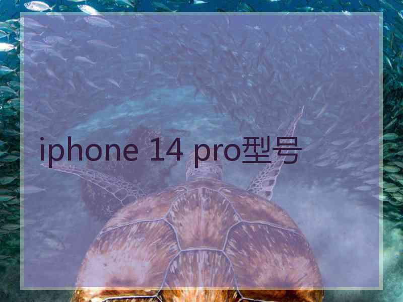 iphone 14 pro型号