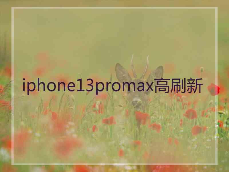 iphone13promax高刷新