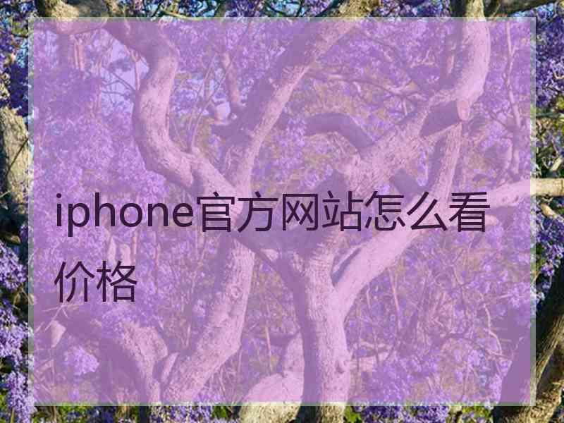 iphone官方网站怎么看价格