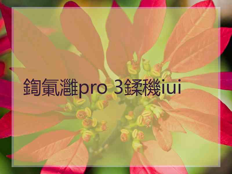 鍧氭灉pro 3鍒穖iui