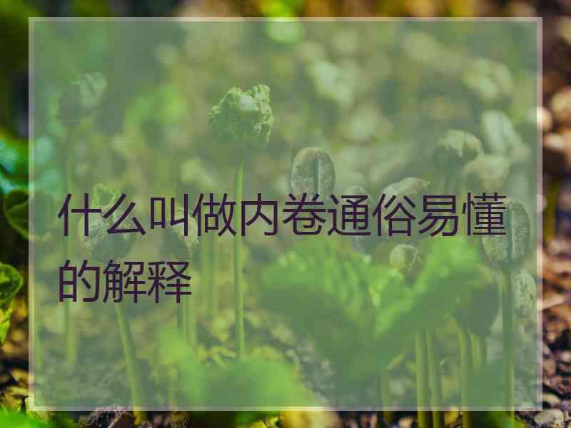 什么叫做内卷通俗易懂的解释