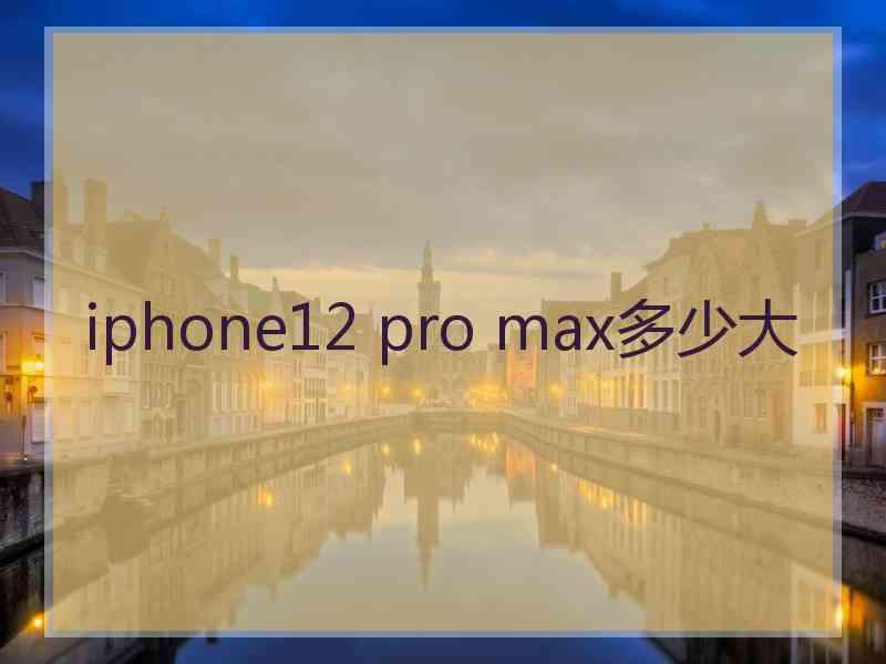 iphone12 pro max多少大