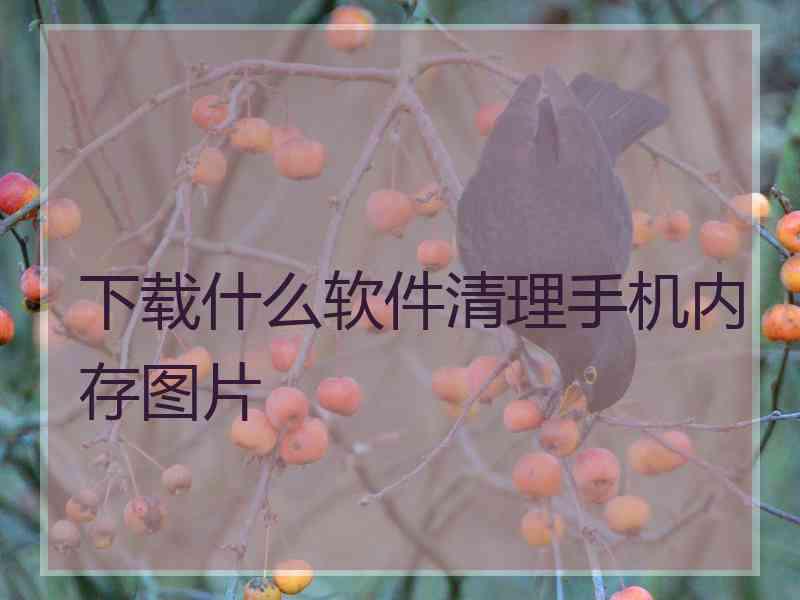 下载什么软件清理手机内存图片