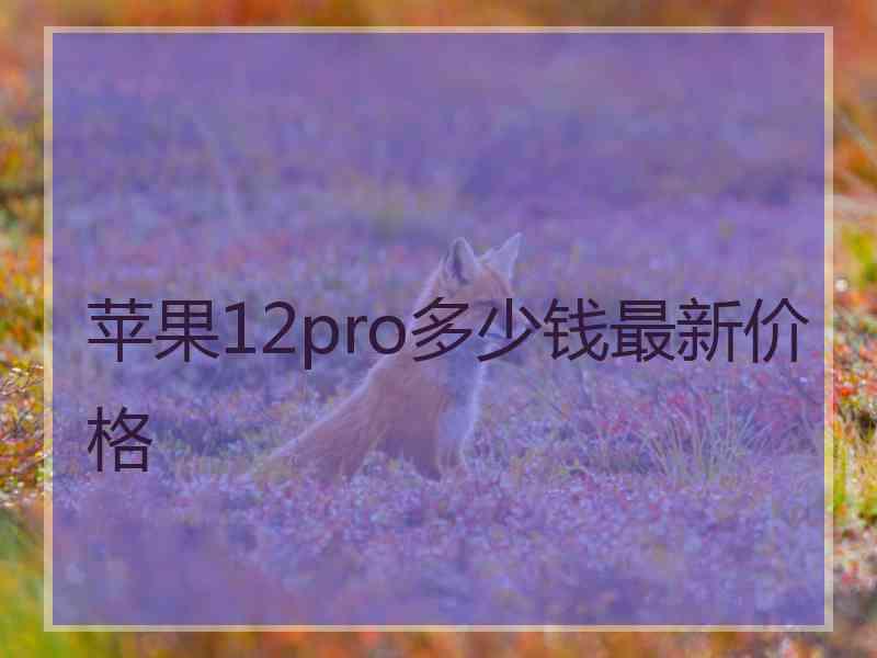 苹果12pro多少钱最新价格