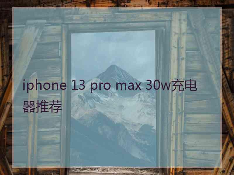 iphone 13 pro max 30w充电器推荐