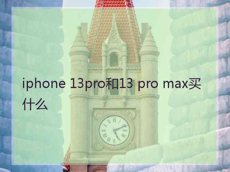 iphone 13pro和13 pro max买什么