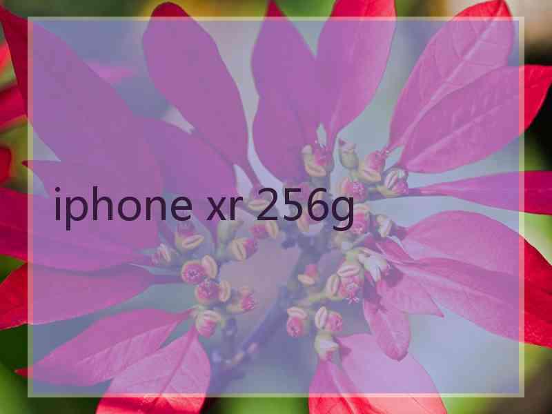 iphone xr 256g