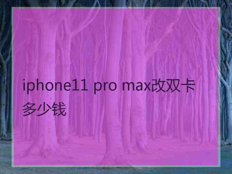 iphone11 pro max改双卡多少钱