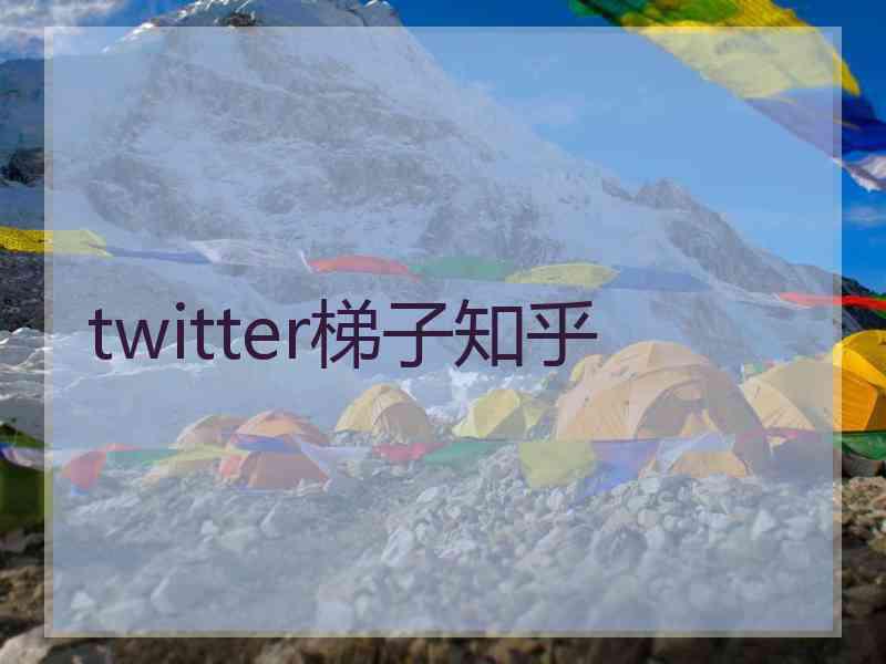 twitter梯子知乎