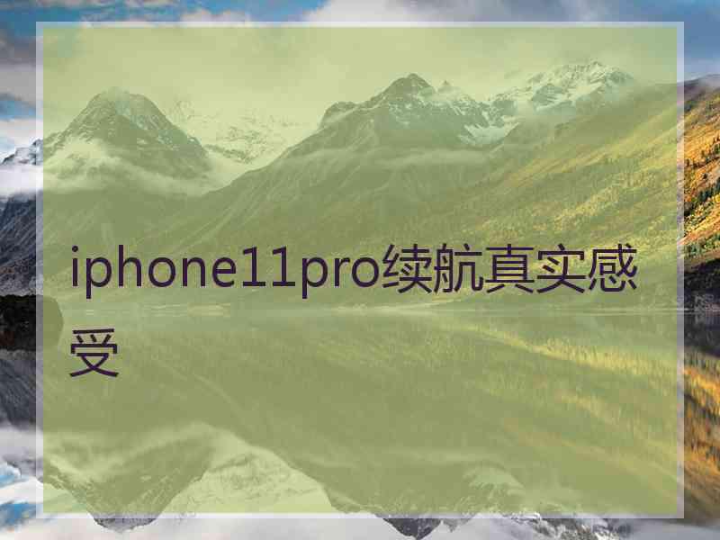 iphone11pro续航真实感受