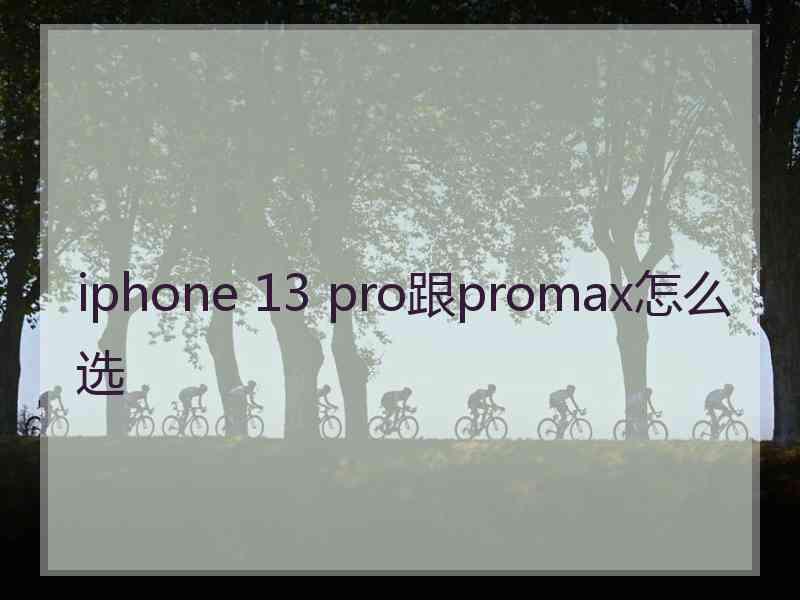 iphone 13 pro跟promax怎么选