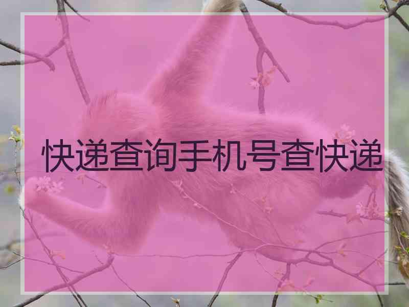 快递查询手机号查快递