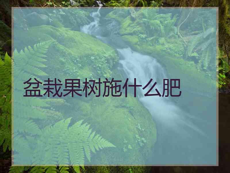 盆栽果树施什么肥