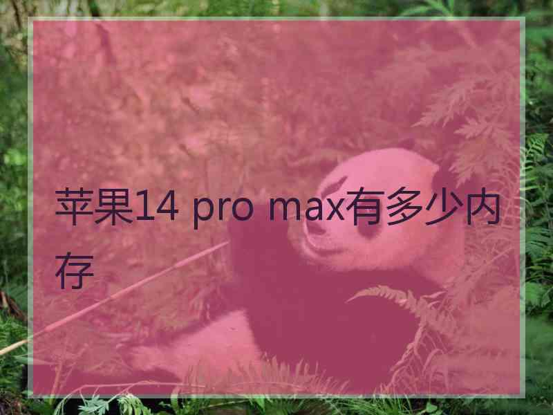 苹果14 pro max有多少内存